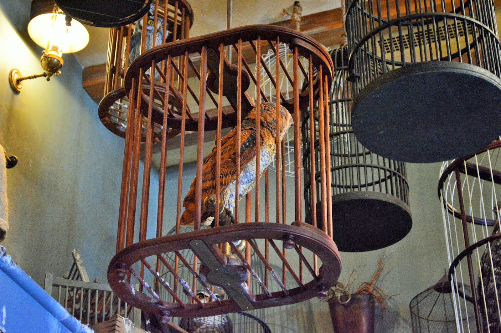 Abbie's Adventure Diaries Owls Of The Wizarding World Of Harry Potter