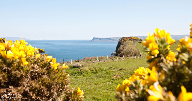 Roadtrip en Irlande du Nord - Carrick-a-Rede