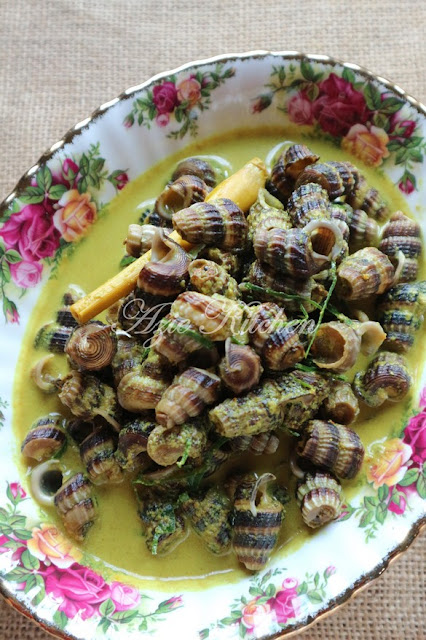 Siput Sedut Masak Lemak Cili Api 