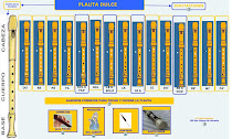 POSICIONES DE LA FLAUTA