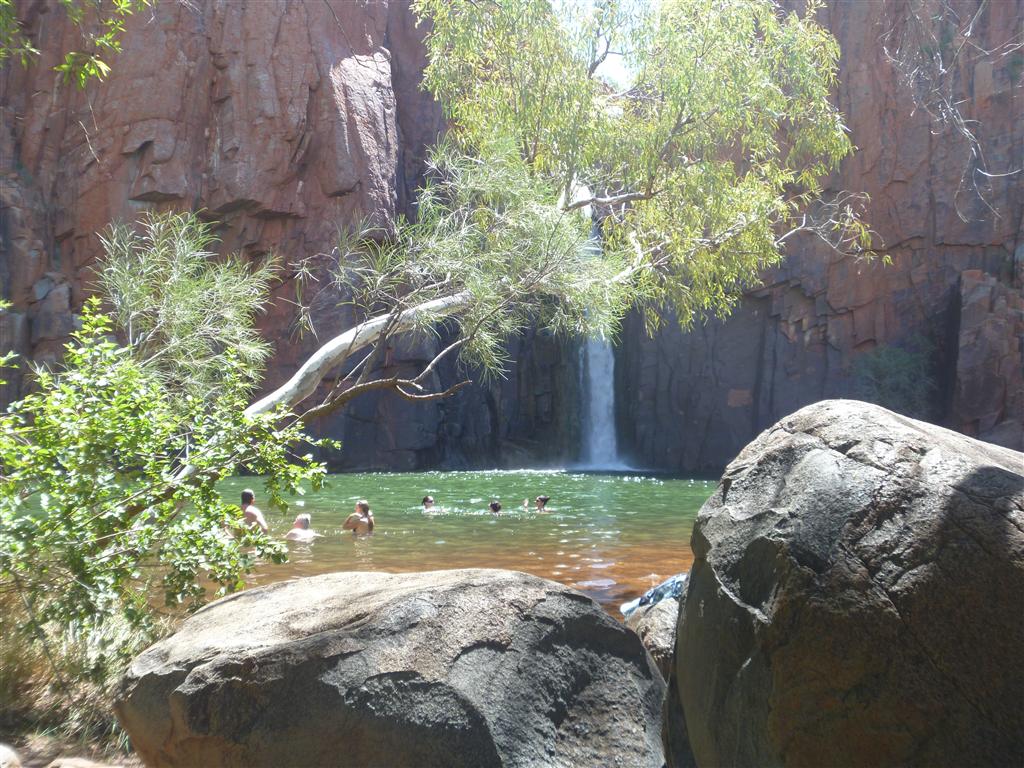 Scubavet Python Pool and Red Dog