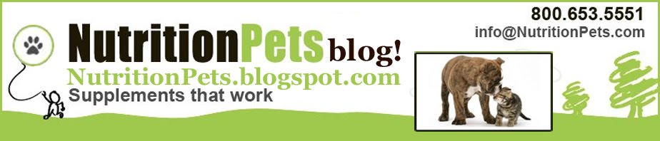 Dog & Cat Health Tips | Nutrition Pets