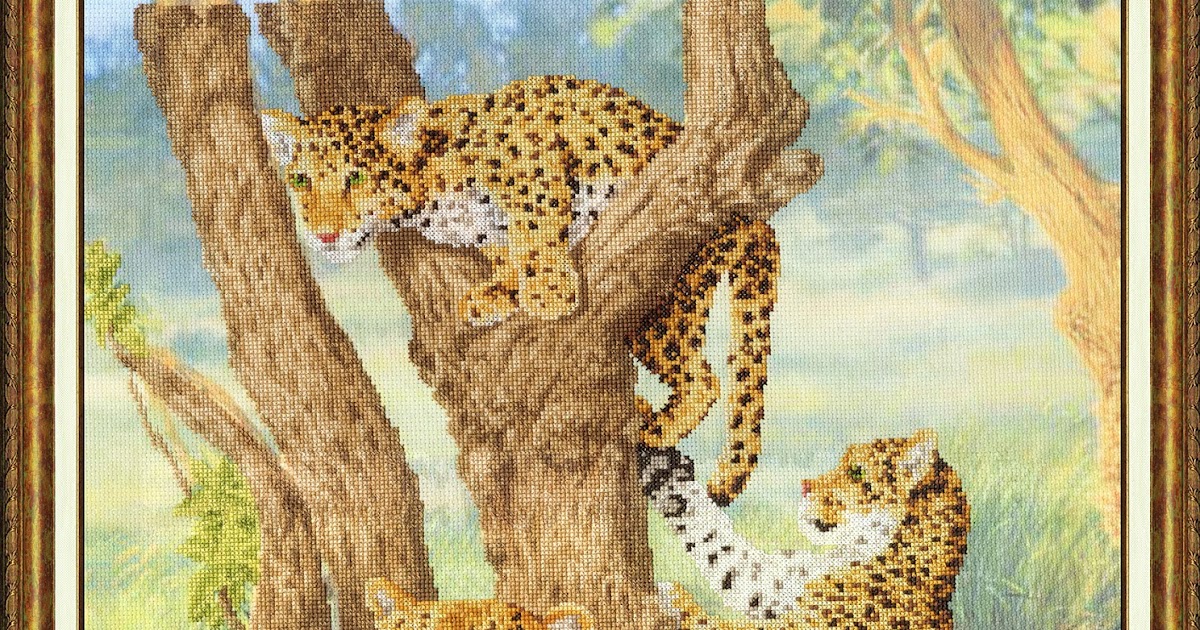 Золотое руно 4 класс. Золотое руно леопард. Золотое руно обаяние лета. Золотое руно 4 класс. Золотое руно ответы.