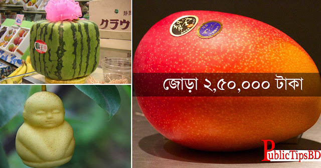 The world's most expensive 10 fruits পৃথিবীর সবচেয়ে দামী ১০ টি ফল।
