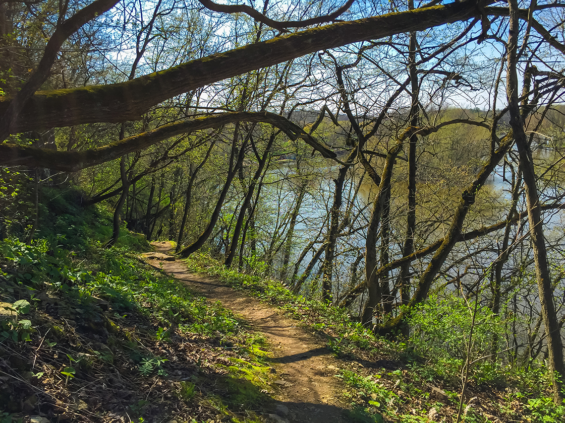 Views of the Rock River from the Devils Staircase Segment of the Ice Age Trail