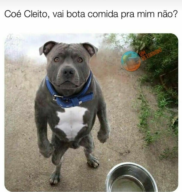 Memes engraçados Memes engraçados