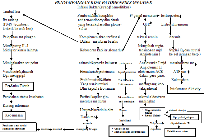 PATOFLOW: patoflow GNA / GNK