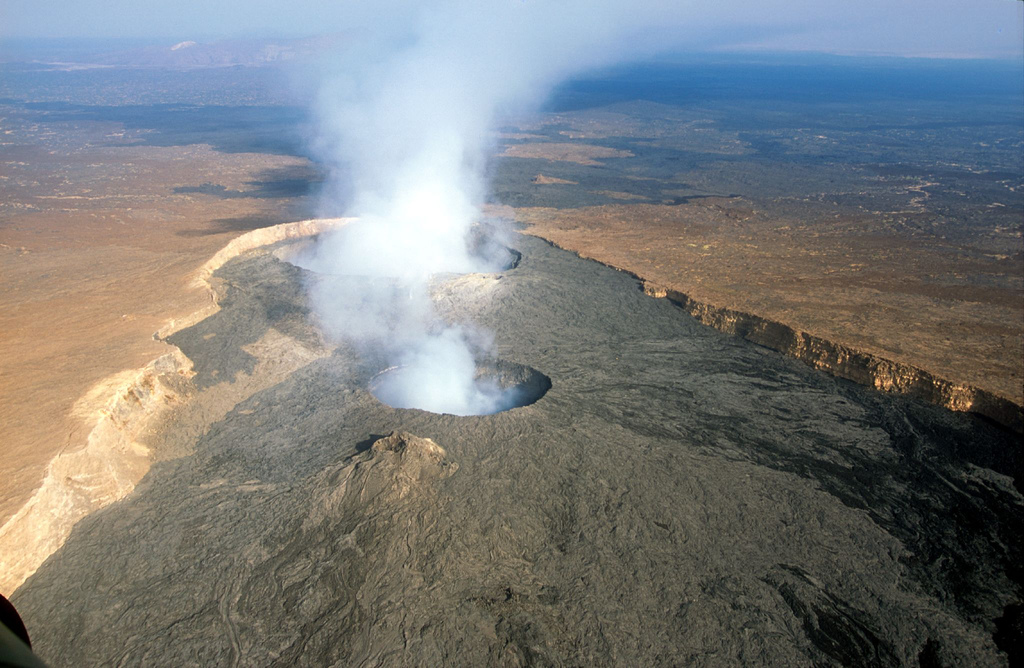 information about shield volcanoes