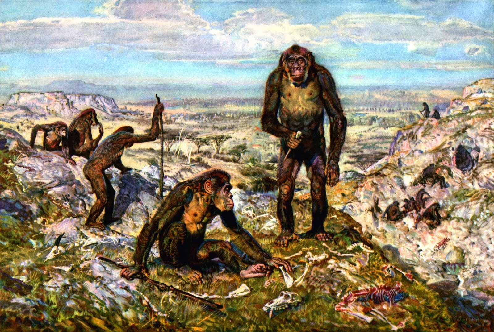 Palaeos, la historia de la Vida en la Tierra: ¿Para qué estudiar