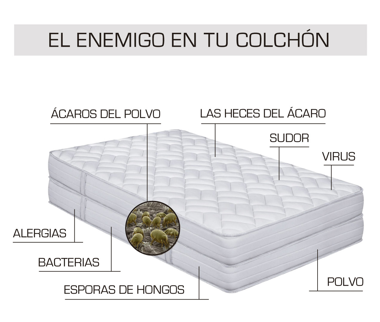 Como eliminar los acaros del colchon con remedios caseros