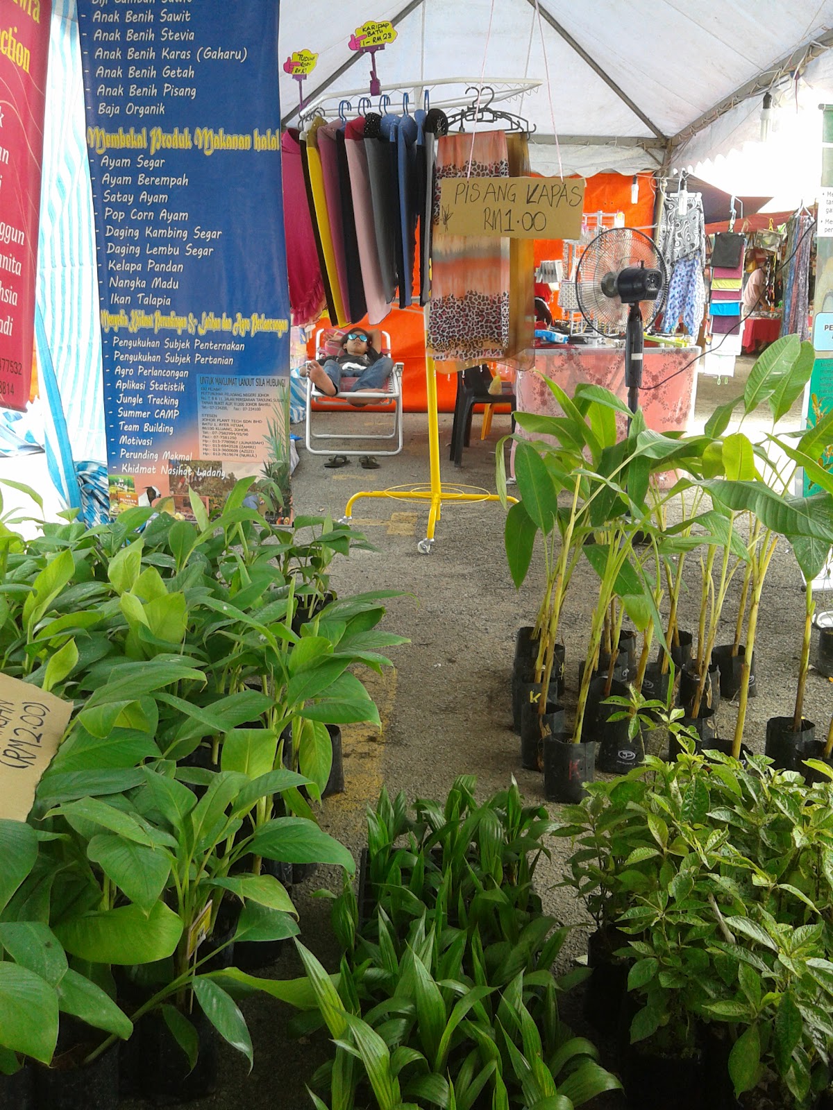 JOHOR PLANT TECH SDN BHD AKTIVITI SYARIKAT