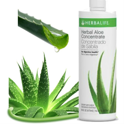Herbal Aloe Concentrate Herbalife, Manfaat Lidah Buaya Ada Di Sini