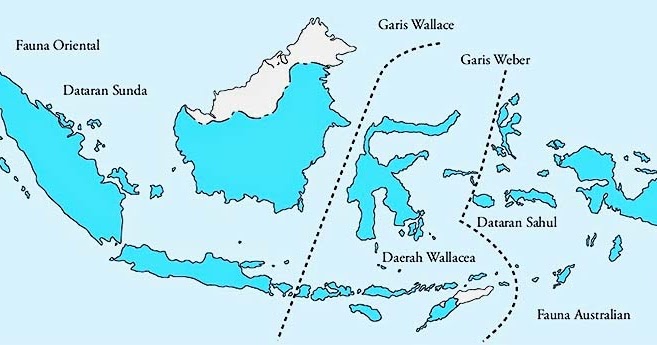 Garis khayal yang dibuat oleh weber menambah satu wilayah