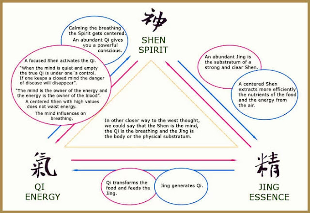 Philosophy of Chinese Medicine - - Hidden Energy