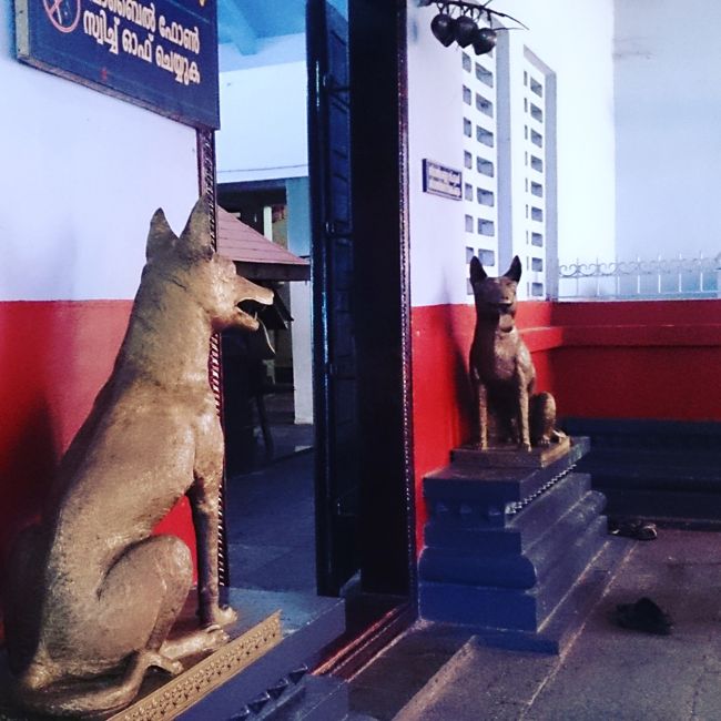 Dogs At The Entrance Of Sri Muthappan Temple Dogs At The Entrance Of Sri Muthappan Temple