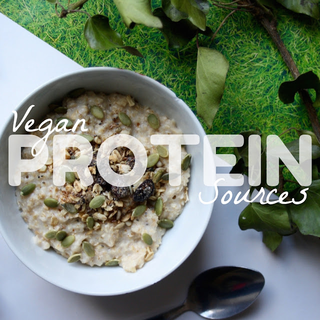 vegan protein sources ideas plant based
