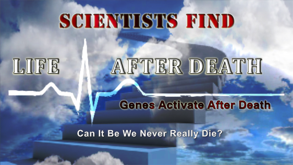 Find the scientist. Find the scientist. Find the scientist. Find the scientist. Find the scientist.