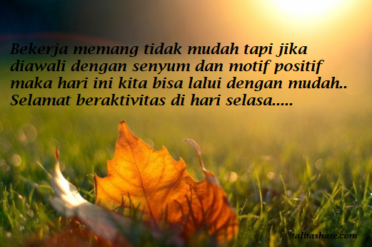 Meme Lucu Semangat Pagi | Portal Informasi