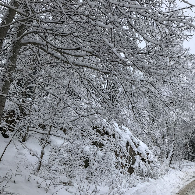 snö, storvretsvägen snö, storvretsvägen