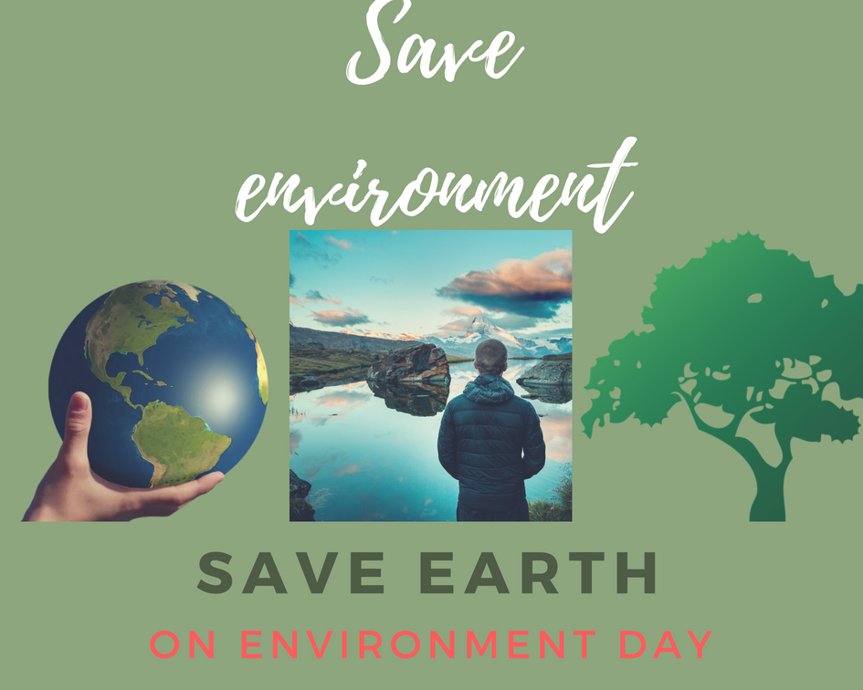 pledge to save the world environment from plastic save earth