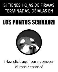 PUNTOS SCHNAUZI