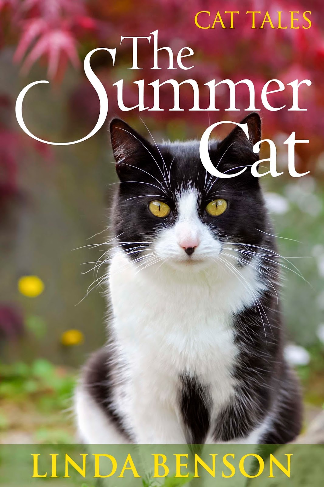 http://www.amazon.com/Summer-Cat-Tales-ebook/dp/B00KRPZLVQ