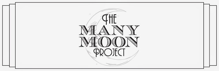 The Many-Moon Project