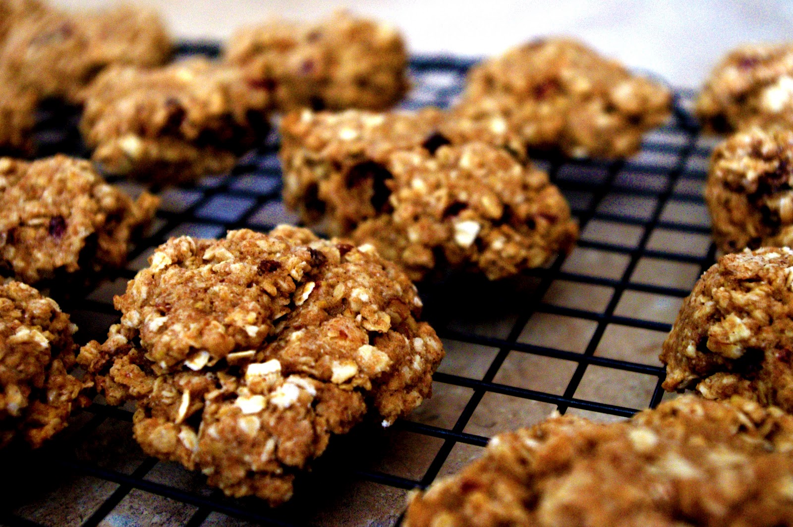 Dear Ella Oatmeal, Almond, Flax, Raisin Cookies (Vegan)