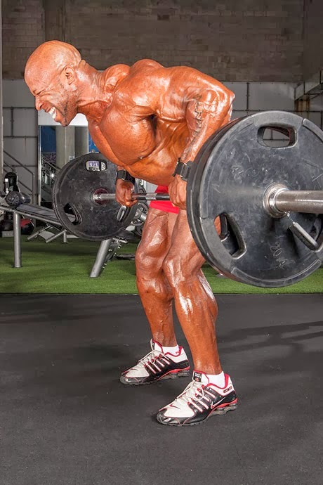 back muscle in gym lingo back muscle in gym lingo