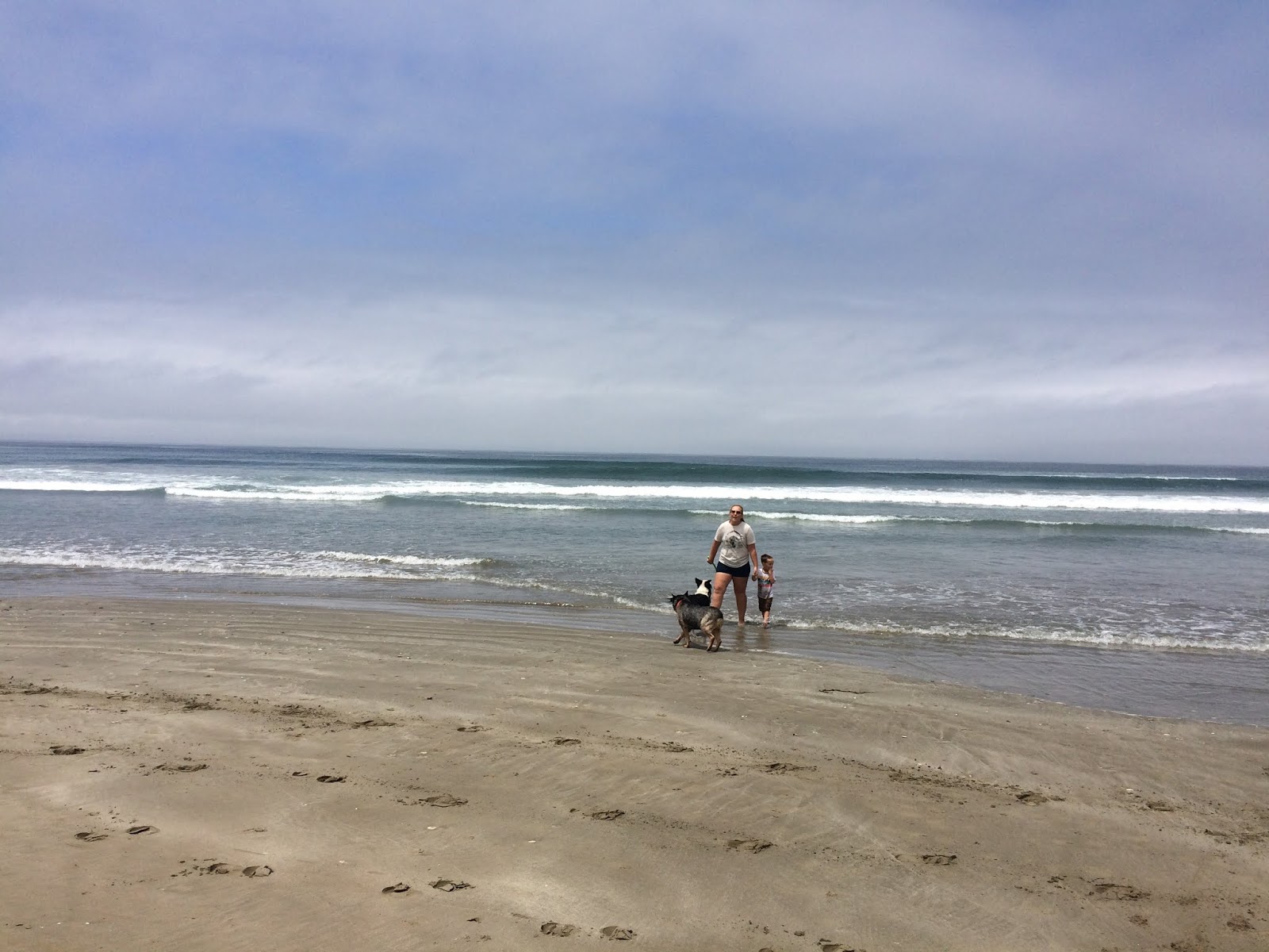 Essay scofflaws 04 picture