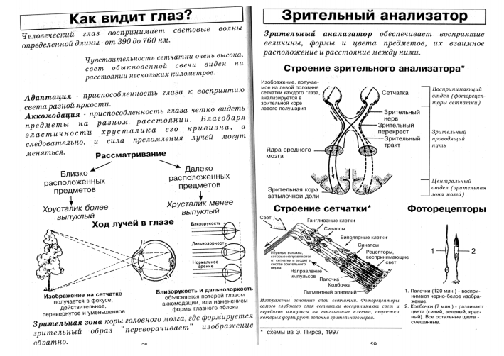 Орган зрения и зрительный анализатор таблица. Таблица по биологии 8 класс строение и функции глаза. Зрительный анализатор строение егэ. Зрительный анализатор строение функции таблица. Зрительный анализатор таблица 8 класс биология.