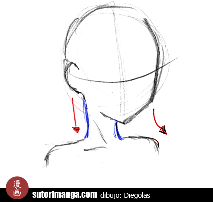 Sutori: Algunos consejos para dibujar Cuellos