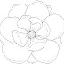 Real Life Flower Coloring Pages
