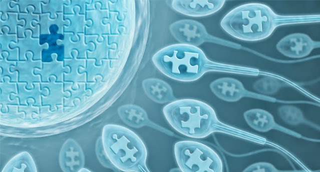 
Fertility day - Ημέρα Γονιμότητας
