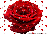 Resultado de imagen para rosa roja