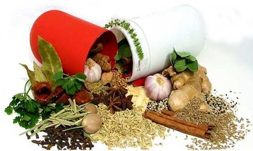 Obat Kuku Cantengan Tradisional Obat Kuku Cantengan Tradisional
