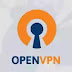 الدليل إلى تنصيب واستخدام OpenVPN على على لينكس مينت 18.3
