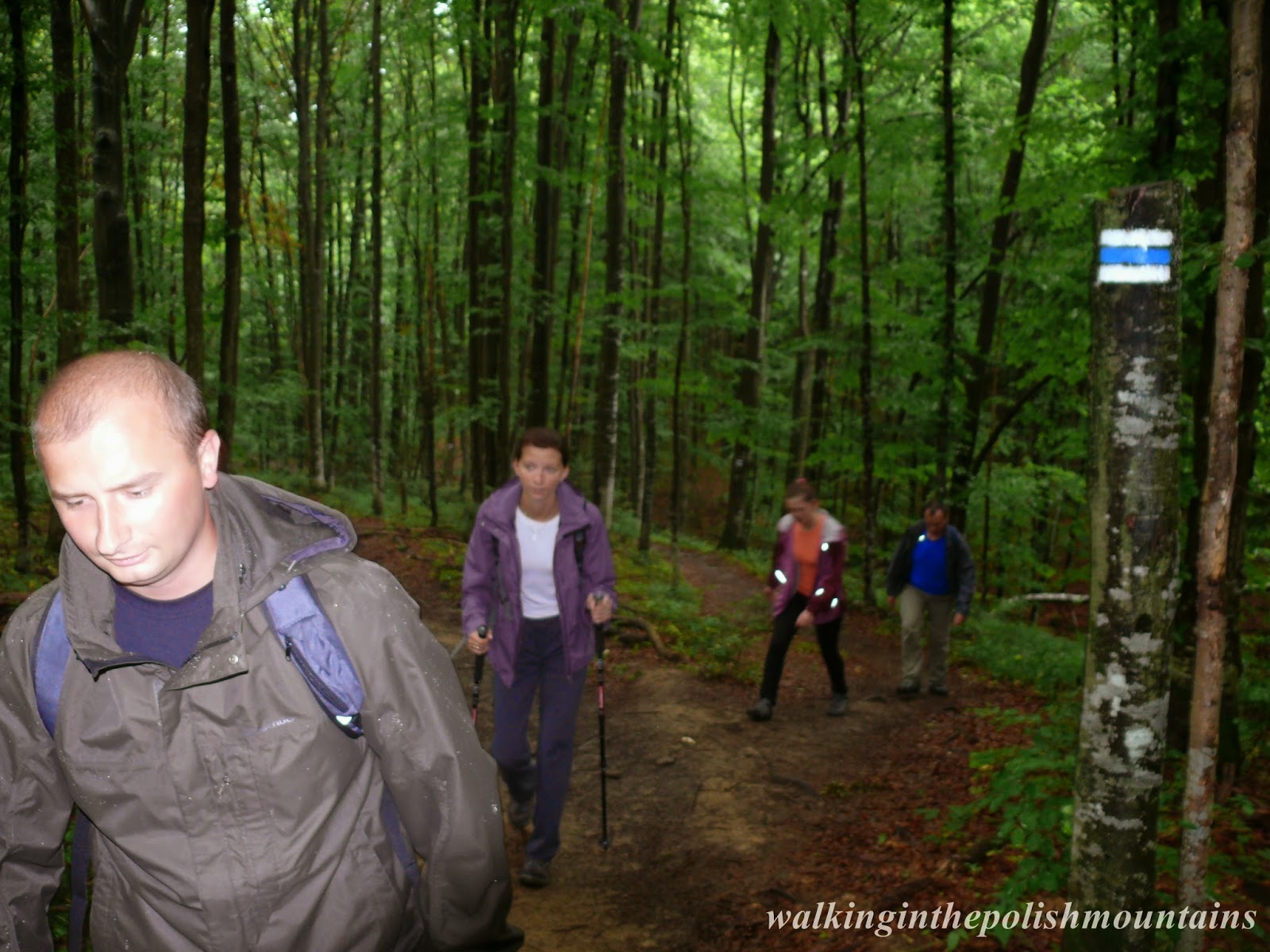 Bieszczady Mountains