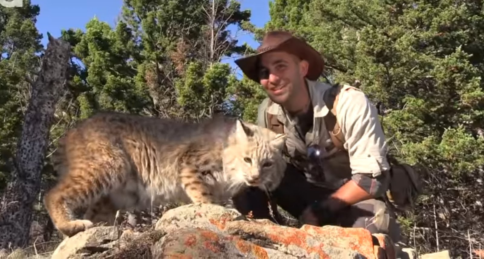 Coyode Pederson and Bob the Bobcat welcome you to blog