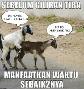 wallpaper idul adha, ucapan bergambar idul adha, gambar idul adha terbaru, stiker idul adha, kata kata bergerak idul adha, gambar lucu idul adha, gambar lucu hewan kurban, gambar hewan kurban wallpaper idul adha, ucapan bergambar idul adha, gambar idul adha terbaru, stiker idul adha, kata kata bergerak idul adha, gambar lucu idul adha, gambar lucu hewan kurban, gambar hewan kurban