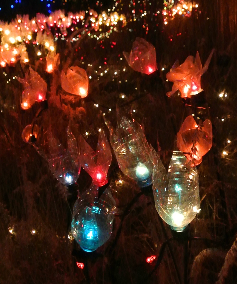 vivian in stitches Christmas Lights, Van Dusen Gardens