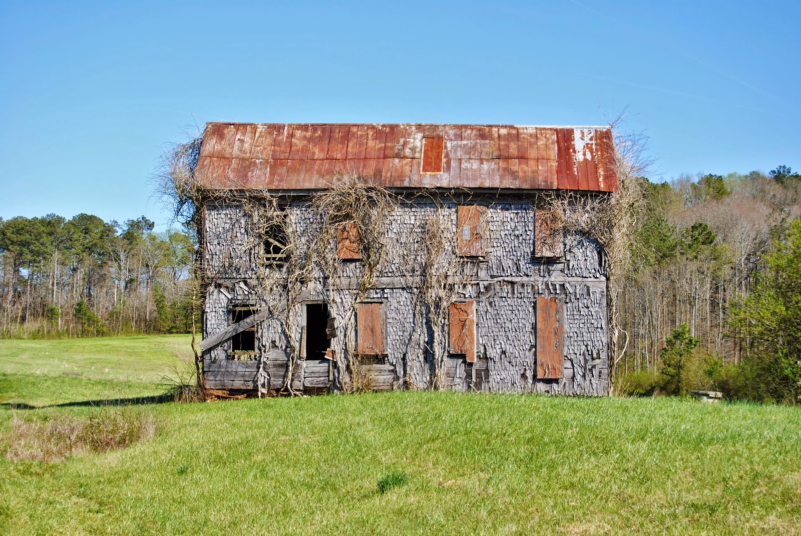 Remnants of Southern Architecture Shingle House, c. 1880, Cherokee County, GA