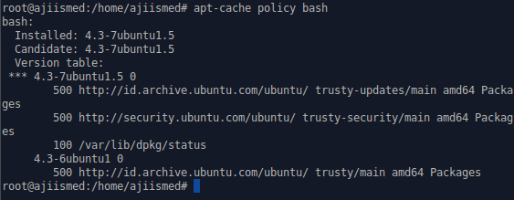 Var cache apt. Var cache apt