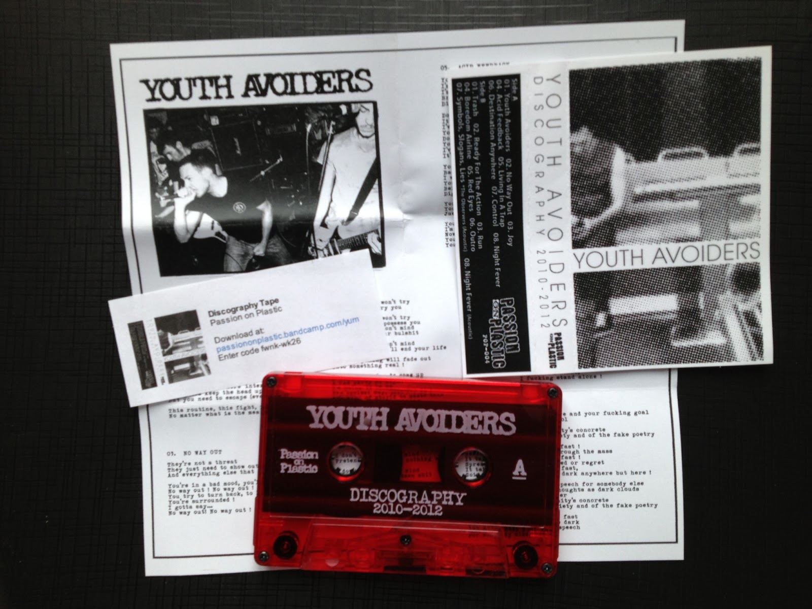 No Punks In KTown YOUTH AVOIDERS Discography 2010 2012