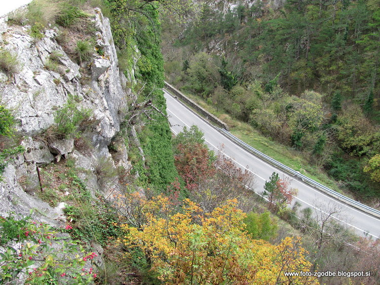 Kubed, Slovenska Istra Slovenija, J. Primorska