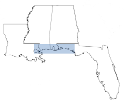 Gulf Coast I-10 region