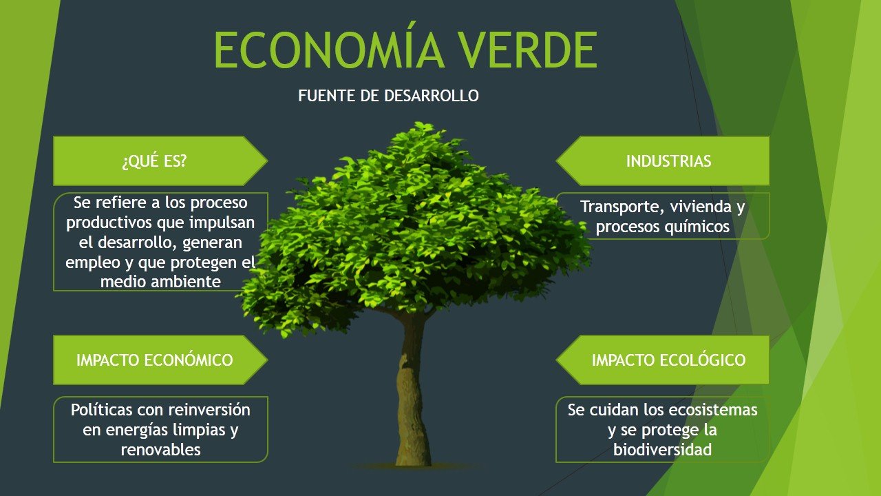 SOCIOLOGIA POLITICA. LA ECONOMÍA VERDE NO