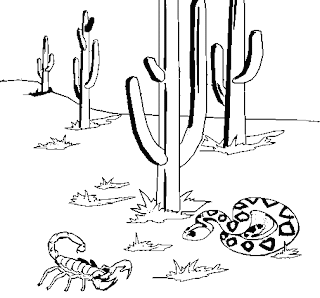 ecosistema desierto