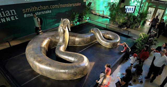 The Largest biggest Snake That Ever Existed