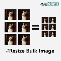 How to resize bulk image Cara memperkecil ukuran foto yang banyak